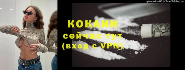 спайс Кулебаки