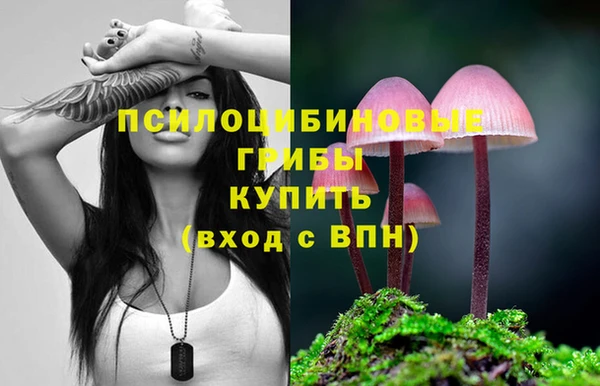 крисы Кукмор