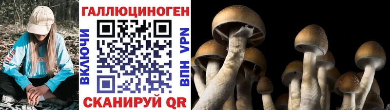 Галлюциногенные грибы мухоморы Фокино