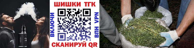 гидра онион  где купить наркоту  Фокино  Каннабис сатива 